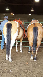 %_tempFileNamepic%2013%