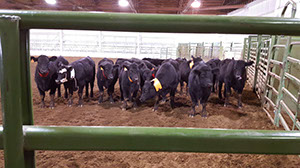 %_tempFileNamepic%2016%